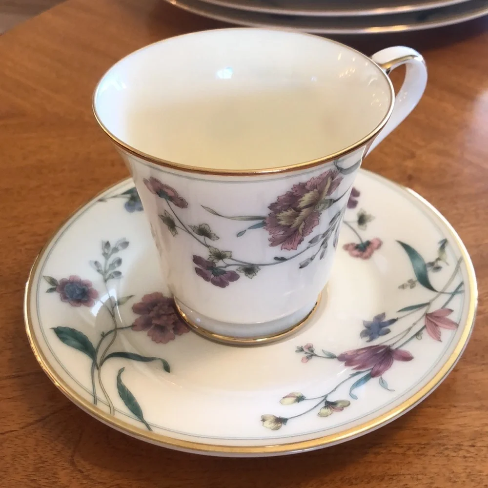 Mikasa Fine Ivory Carnation Garden Five (5) piece place setting